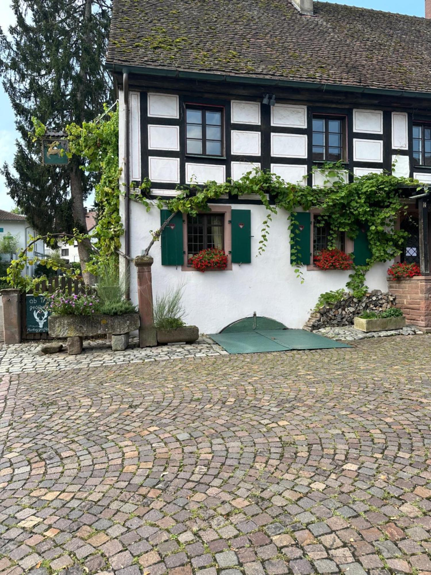 Exklusive Maisonette-Wohnung Am Rande Von Freiburg Merzhausen Exterior foto